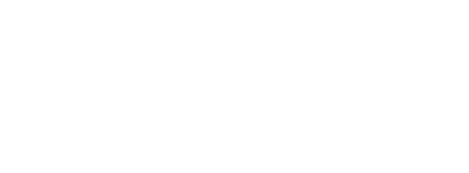 Zanda Logo